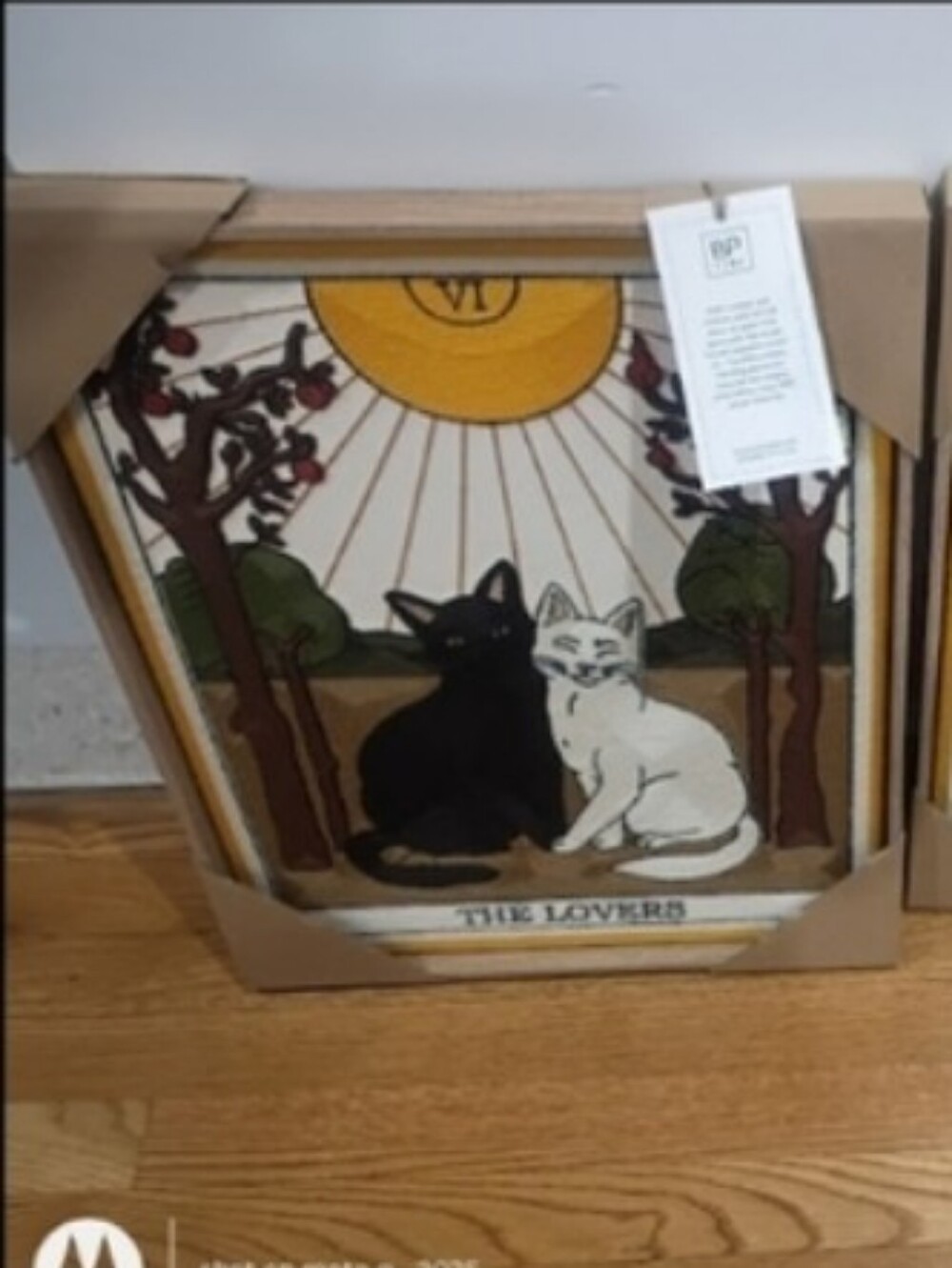 Viral Cat Tarot The Lovers & The Star Embroidered Framed Wall Art